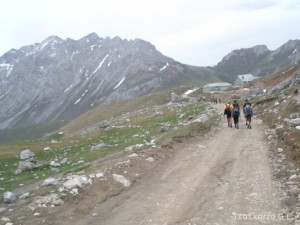 img_1225030492_298
