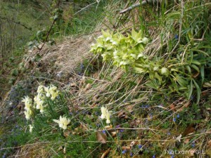 img_1225030708_467