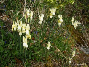 img_1225030744_658