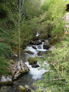 img_1225030914_921
