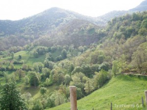 img_1225030928_600
