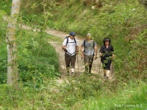 img_1225030958_751
