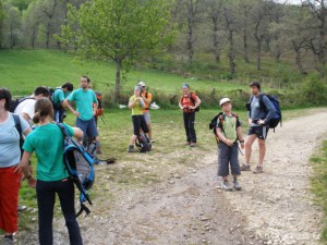 img_1225030977_436