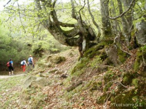 img_1225031085_402