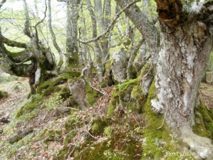 img_1225031099_211