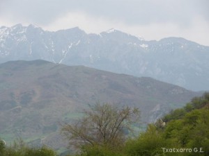 img_1225031182_703