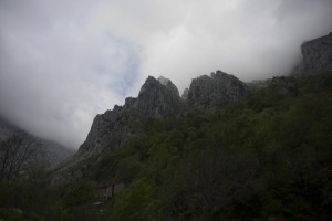 IMG_2260
