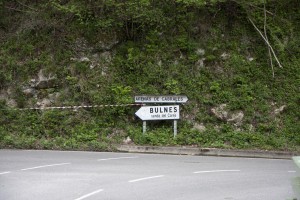 IMG_2262