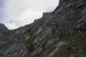 IMG_2284