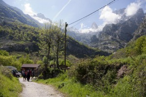 IMG_2446