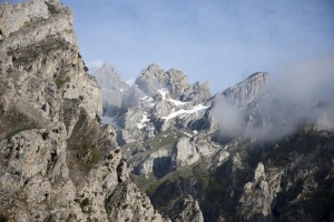 IMG_2483