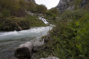 IMG_2489