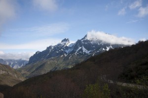 IMG_2498
