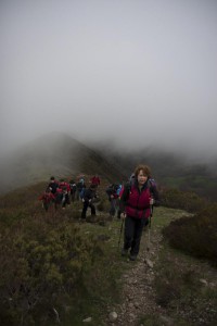 IMG_2541