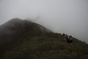 IMG_2546