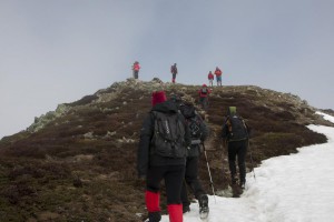IMG_2600