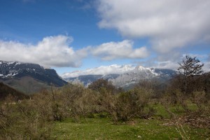 IMG_2668
