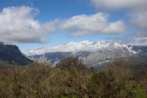 IMG_2669