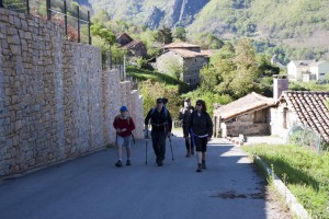 IMG_2692