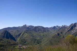 IMG_2701
