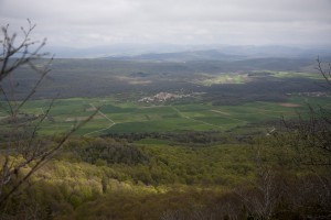 IMG_8086