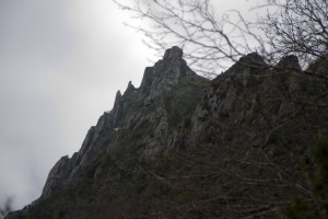 IMG_8092