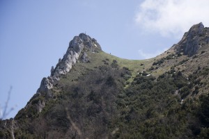 IMG_8113