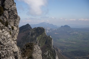 IMG_8135