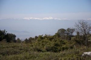 IMG_8245