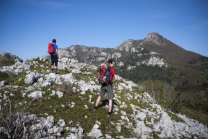 IMG_8246