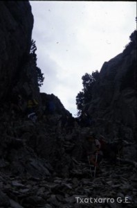 img_1206997899_478