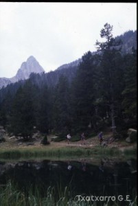 img_1206997901_573