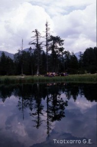 img_1206997901_925