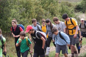 img_1272831468_810
