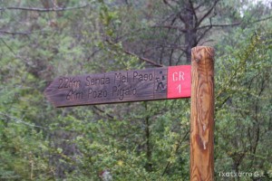 img_1272831469_460