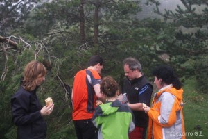 img_1272831471_55