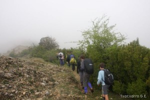 img_1272831472_710