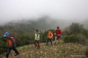 img_1272831472_738