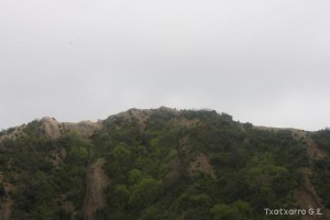 img_1272831474_23