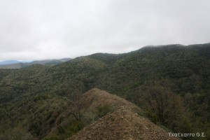 img_1272831474_317
