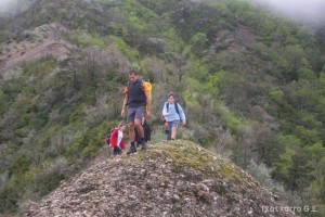 img_1272831474_677