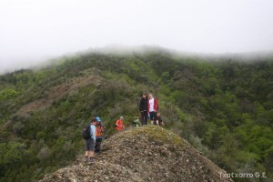 img_1272831475_301