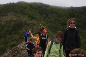 img_1272831475_317