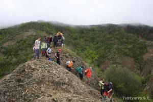 img_1272831475_782