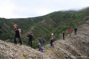 img_1272831477_739
