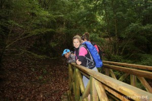 img_1272831478_743