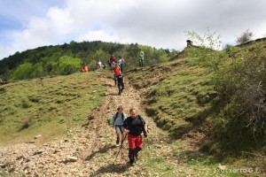 img_1272831479_377