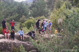 img_1272831481_567