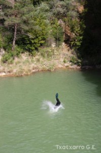 img_1272831491_521