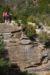 img_1272831492_653